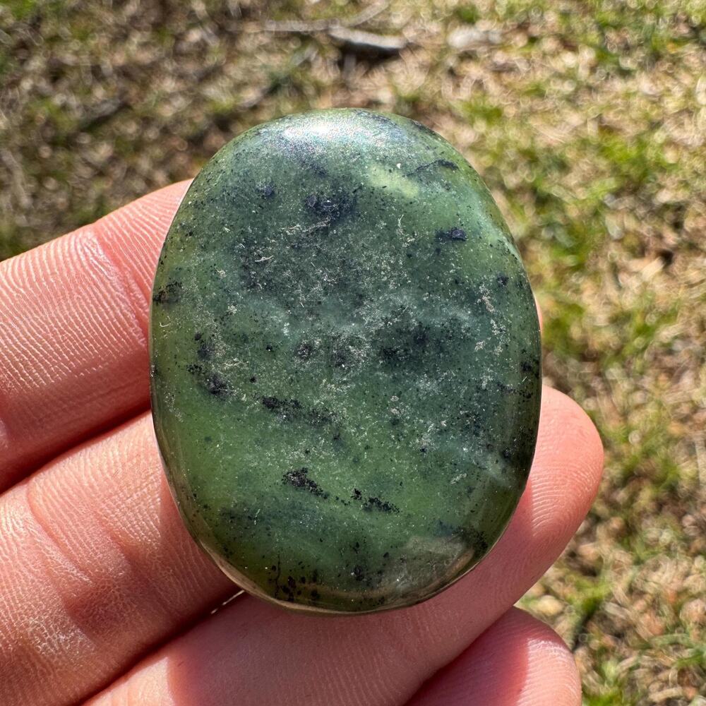 Canadian Jade Palm Stone Nephrite #1